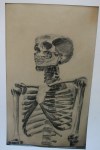 images/art/skelett_studie.jpg